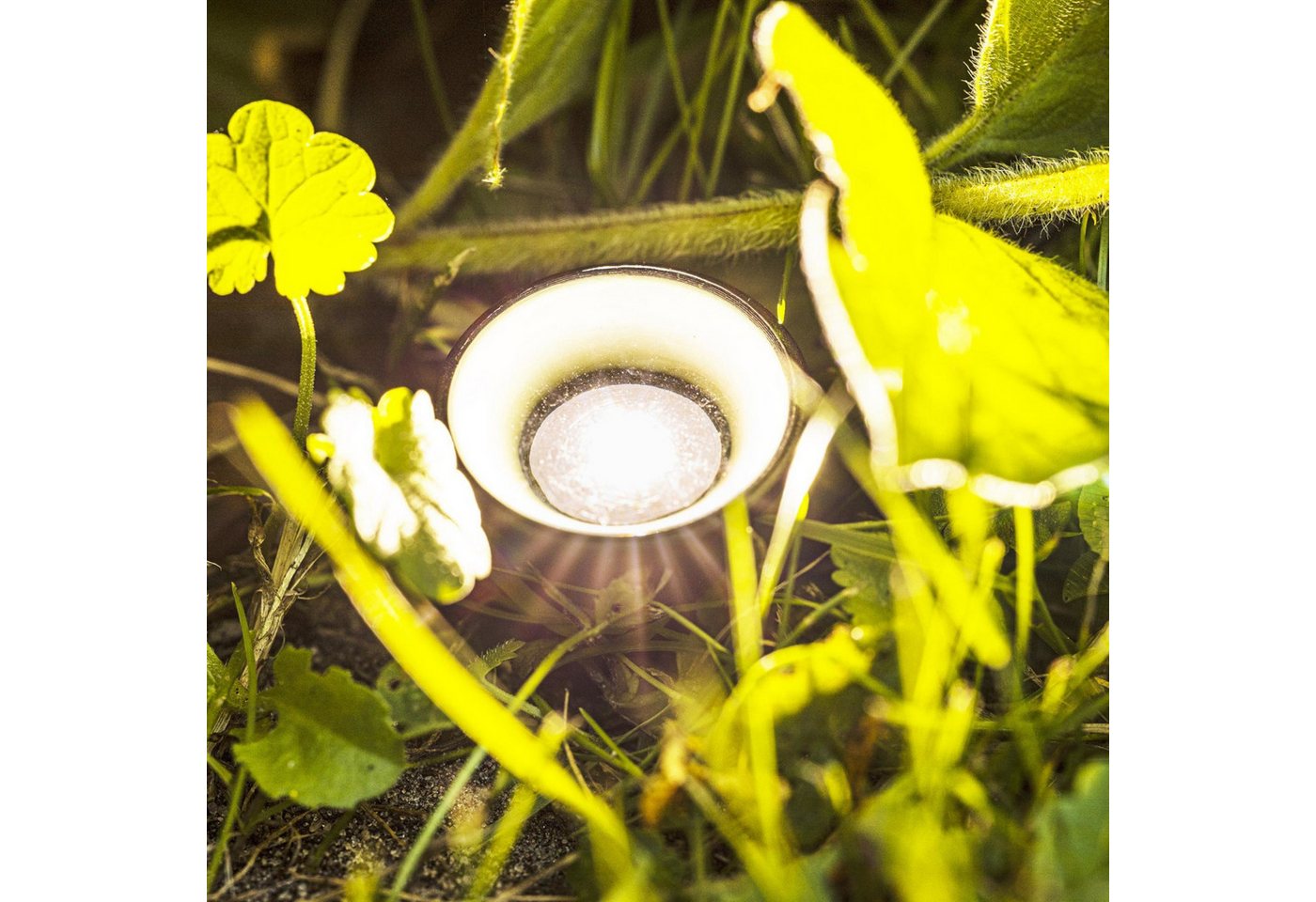 Meinposten Gartenleuchte Solarlampen Solarleuchten Pflanzstrahler Balkon Kübel Garten 10x LED, LED fest integriert Bild 3