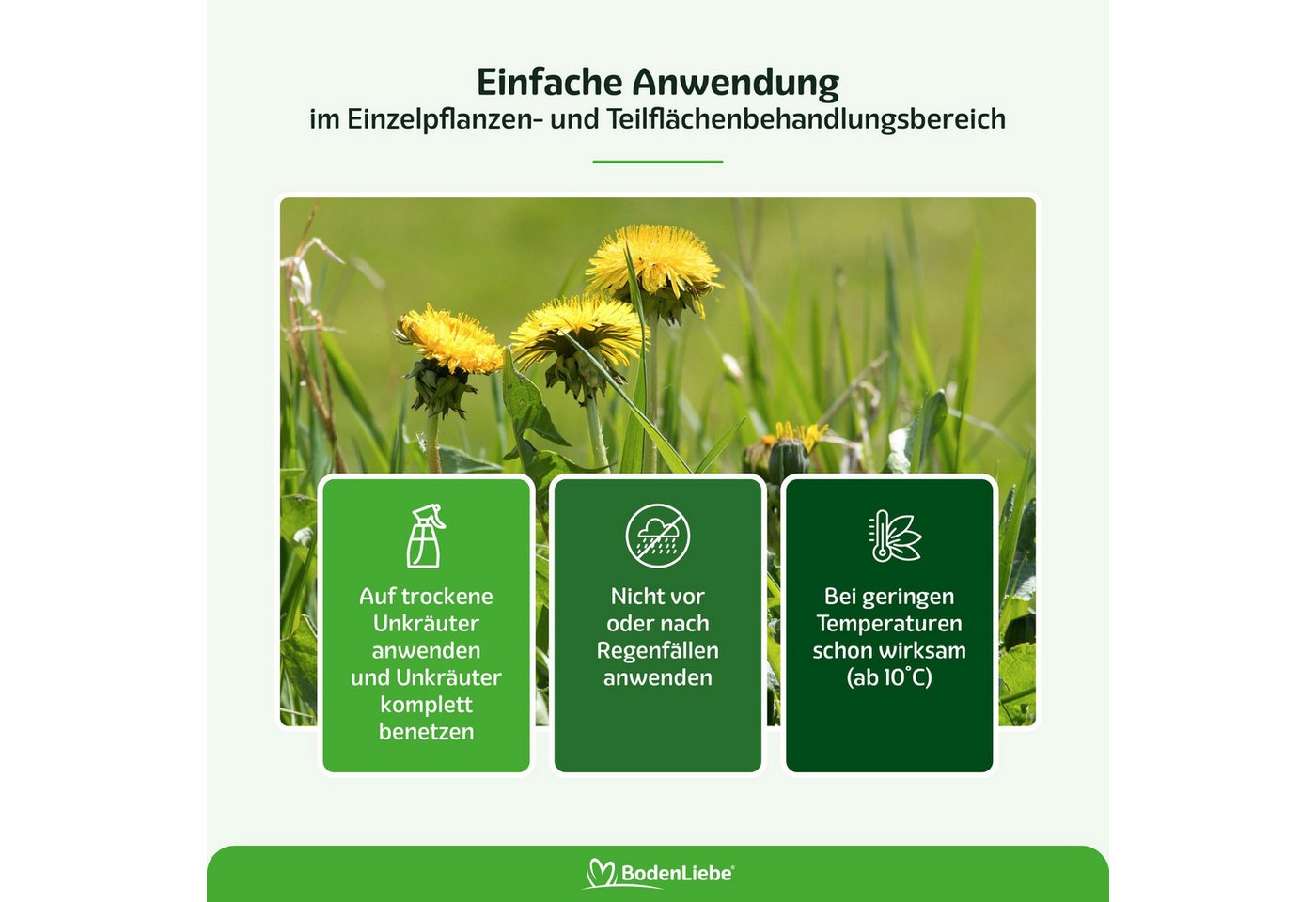RASENBLITZ Unkrautbekämpfungsmittel UNKRAUTSCHRECK™ - Unkrautmittel, 500 ml Bild 5