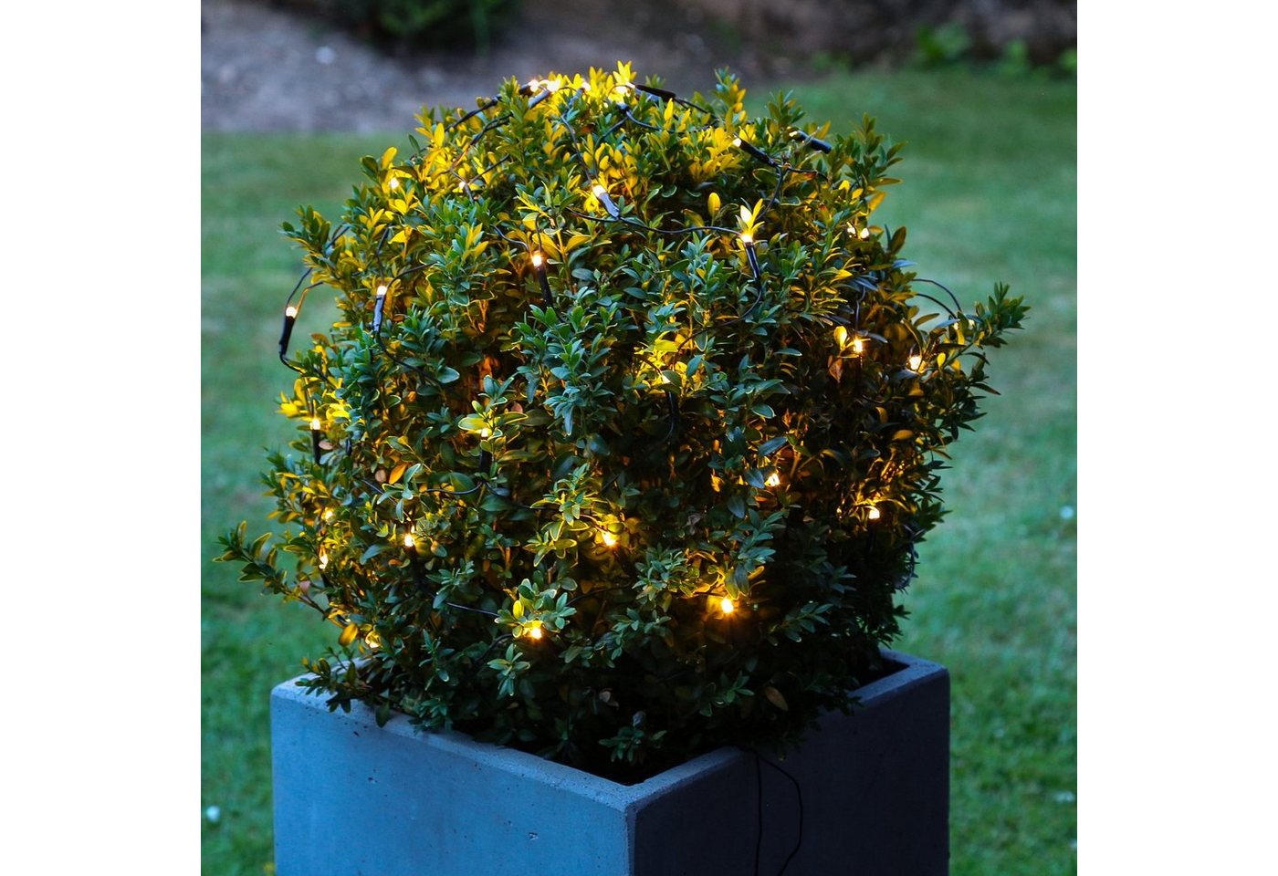 MARELIDA LED-Lichternetz LED Lichternetz Lichterkette Buchsbaum Kugelnetz für Außen 35cm grün, 60-flammig