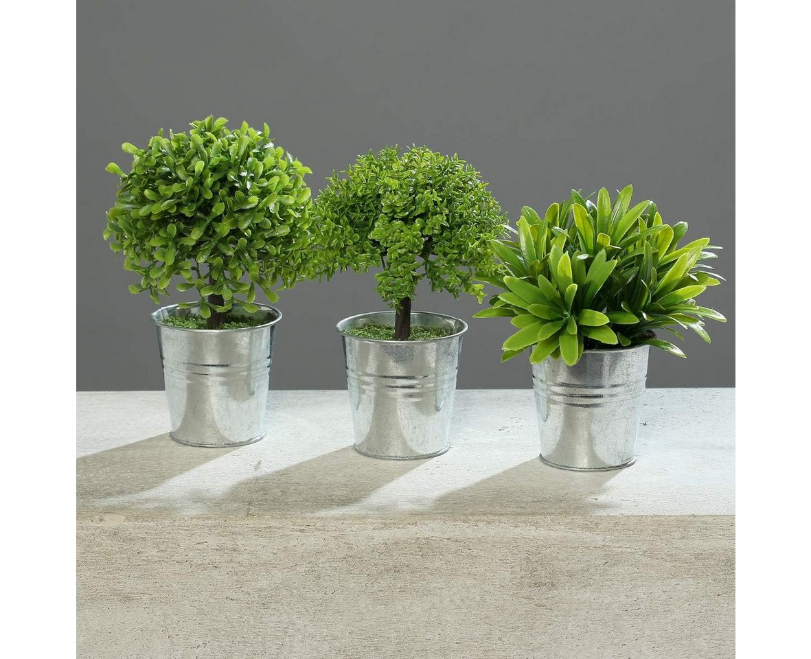 Künstliche Zimmerpflanze 3er Kunstpflanzen-Set im Zinktopf, Höhe ca. 15-17cm Grasarrangement, mucPlants
