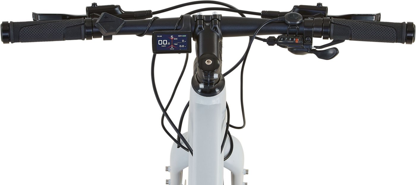 Prophete E-Bike Urbanbike Urbanicer 2.9, 9 Gang Shimano Alivio Schaltwerk, Kettenschaltung, Heckmotor, 360 Wh, Pedelec, Elektrofahrrad für Herren