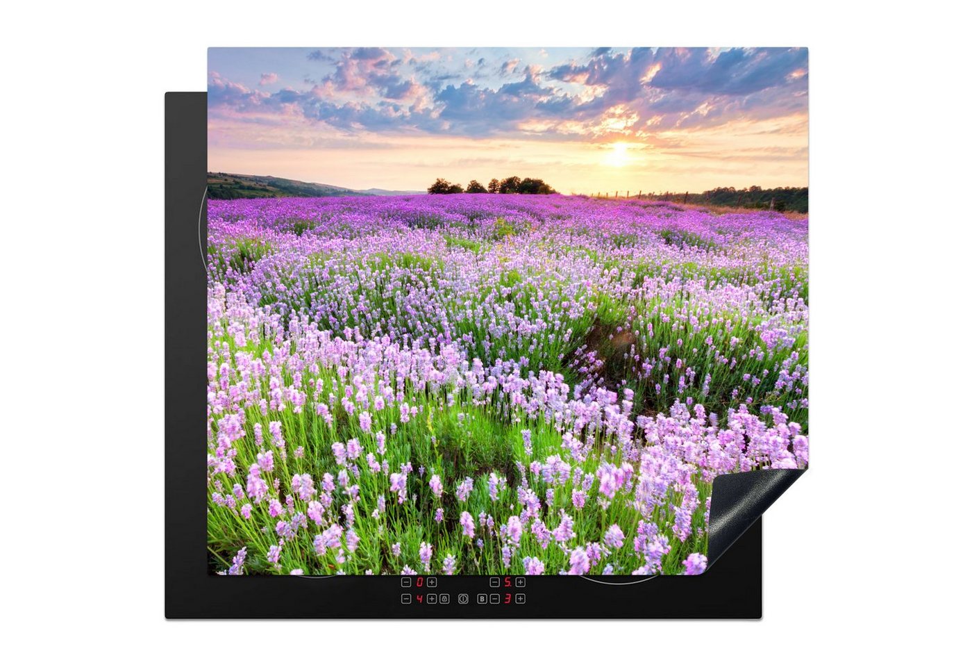 MuchoWow Herd-Abdeckplatte Lavendel - Blumen - Sonnenuntergang - Lila - Wiese, Vinyl, (1 tlg), Cerankochfeld Abdeckung, Herd Abdeckplatten Vinyl, 58.3x51.3 cm Bild 5
