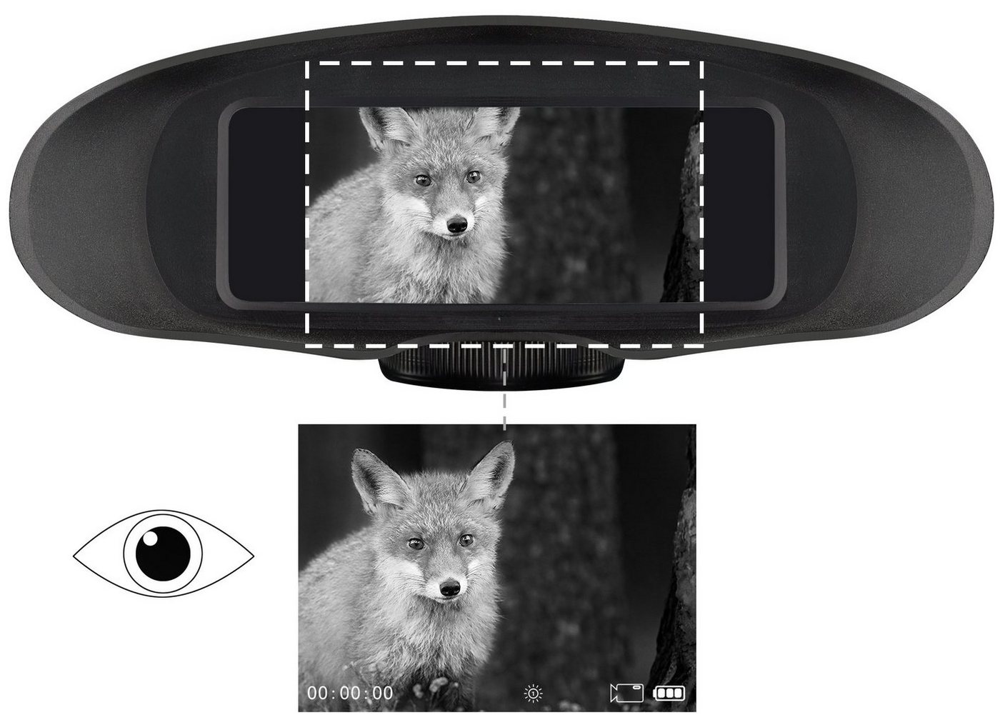 BRESSER Nachtsichtgerät BRESSER Digital Nachtsichtgerät Binokular 3,5x m. Aufnahme Monochrom Bild 4
