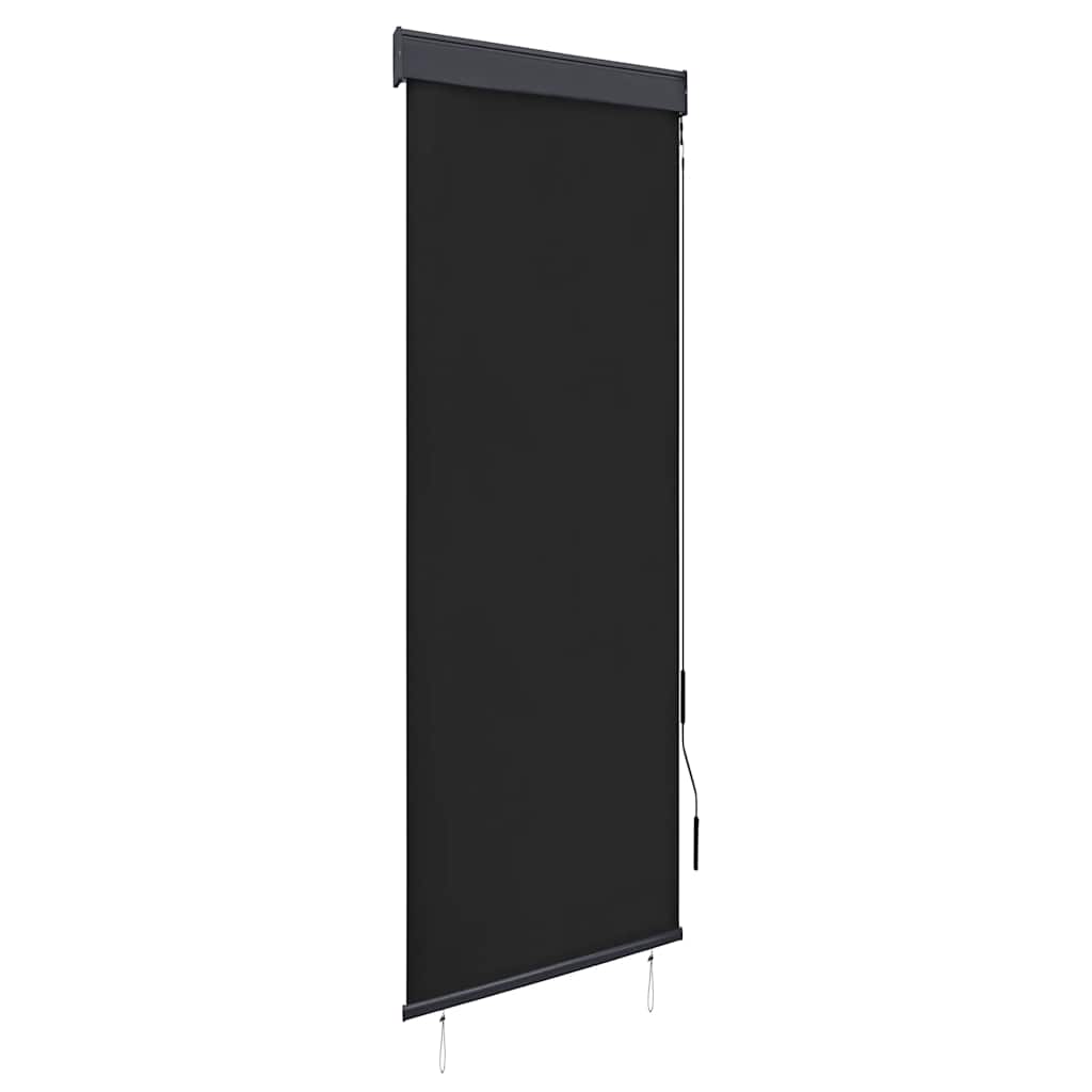 Vidaxl Outdoor Roller Blind 60x250 Cm Anthracite