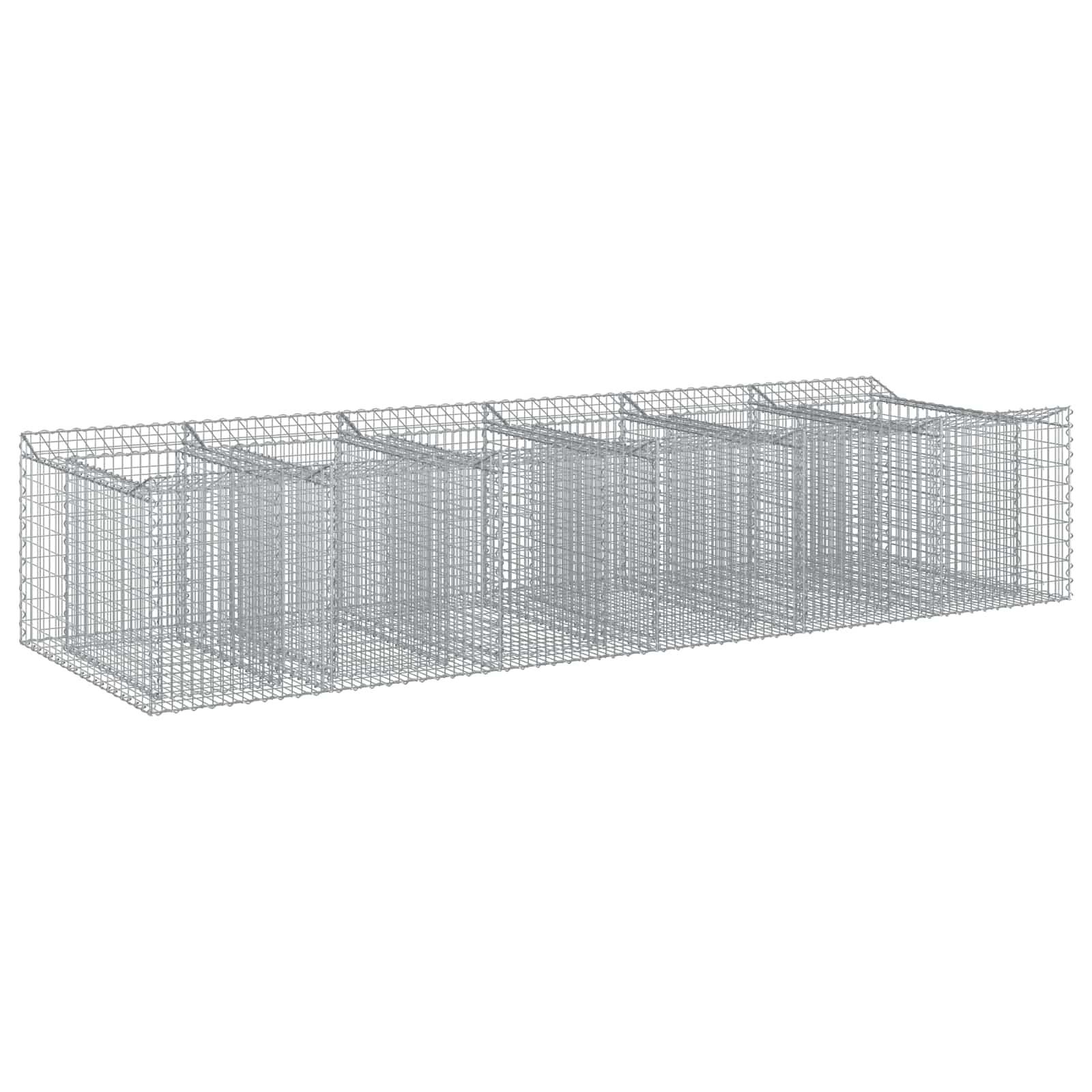 Vidaxl Gabion Raised Bed 2 Pcs 300 X 100 X 60 Cm Galvanised Steel