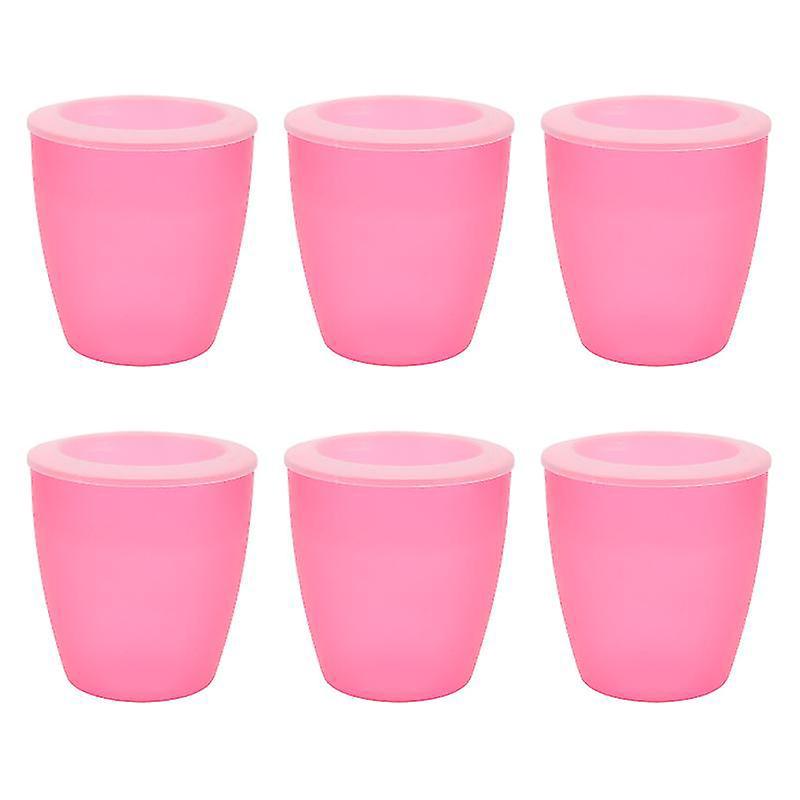 6-teiliges Set Automatischer Wasseraufnahmepflanzgefäße