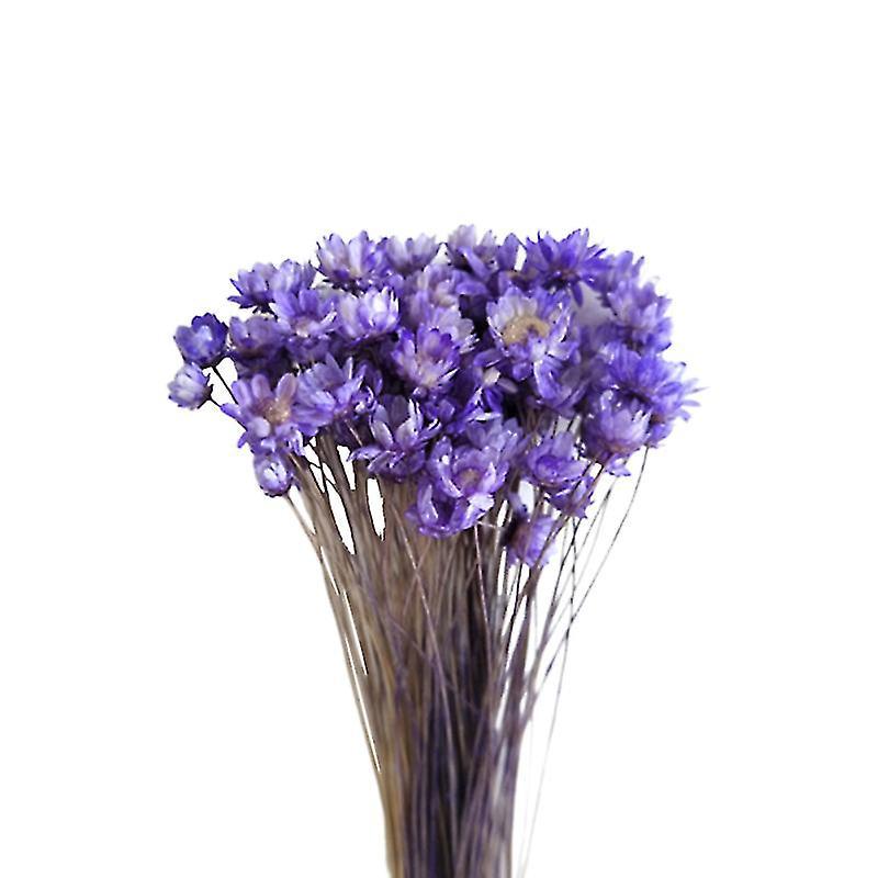 30 Stück Getrocknete Gänseblümchen