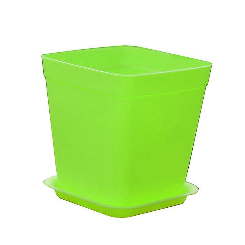 Vase Für 10 Sukkulentenpflanzen