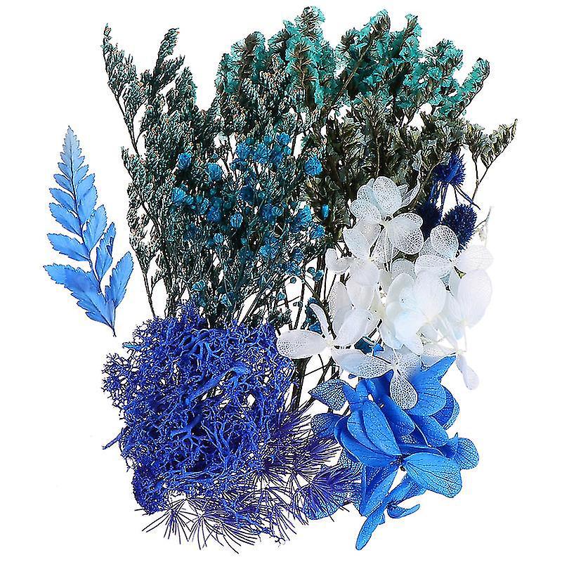 1 Stück Echte Trockenblumen