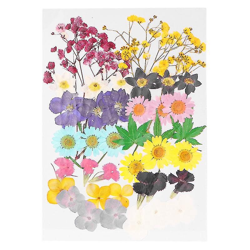 42 Stück Getrocknete Blumen