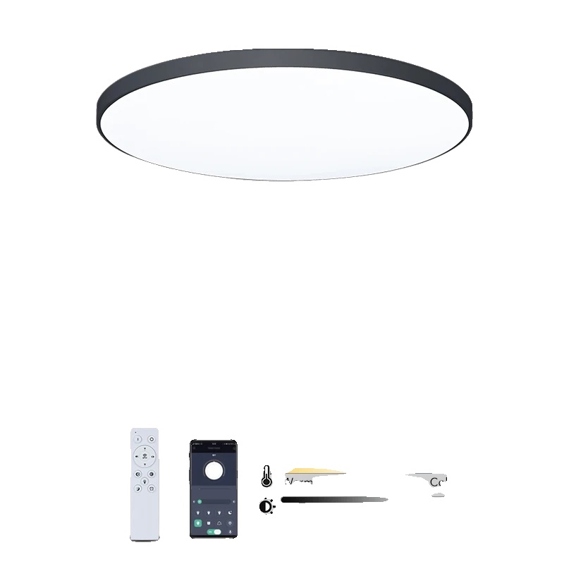 Deckenleuchte, Smarte Steuerung, Dimmbar, Modernes Design, Schwarz (14,57 Zoll)