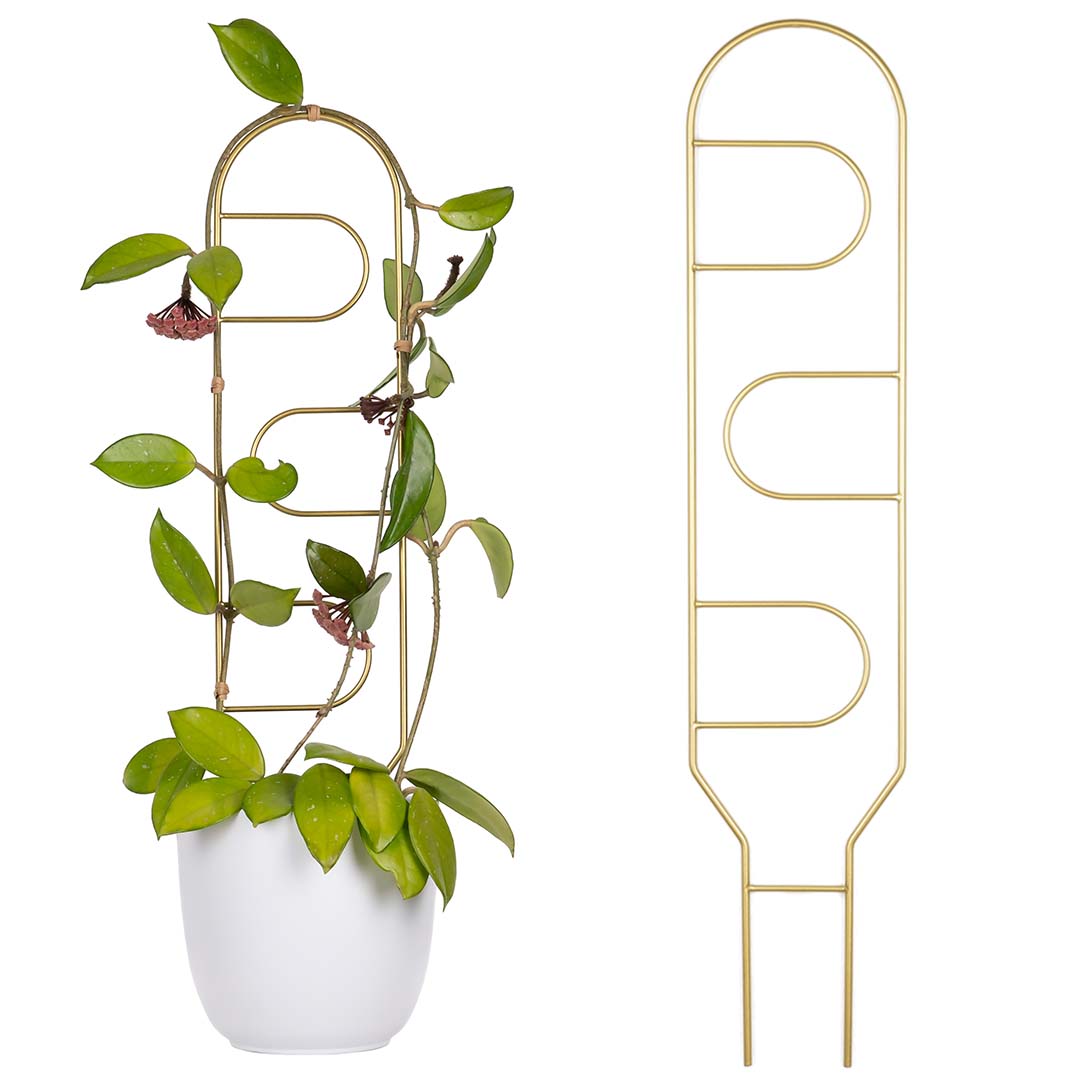 Goldene Metallstütze Für Kletterpflanzen, Portale 60 Cm – Elegante Blumenleiter Im Glamourösen Stil, Modernes Goldenes Stützgestell Für Monstera