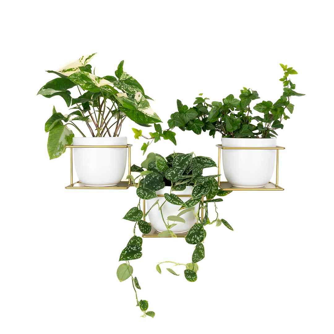Jungle 5 Wandblumenständer, Horizontaler Metallhalter Für 3 Blumentöpfe, Goldfarben, Moderner Blumenhänger