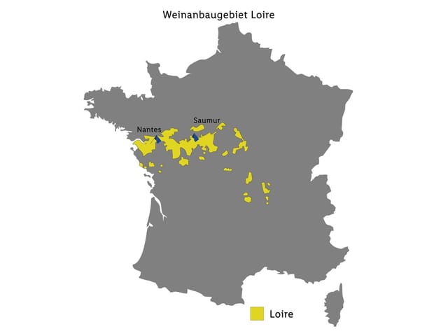 MARQUIS DE PLAGNE Crémant de Loire AOC brut, Schaumwein - Mindestbestellmenge 6