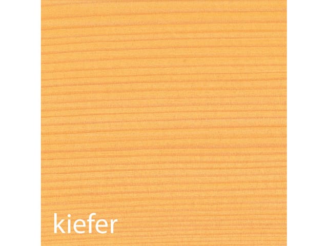 BAUFIX Wetterschutz-Holzgel, 5 Liter (kiefer)