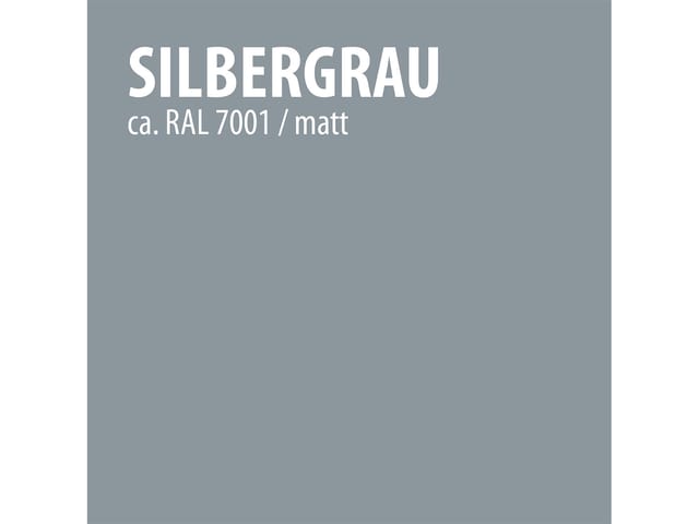 BAUFIX Boden-Flüssigkunststoff, 5 Liter (Silbergrau)