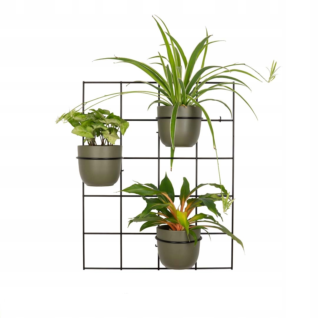 Hedera 3 Wandblumenständer Aus Schwarzem Metall – Modernes Rankgitter Mit 3 Bögen, Loft-stil, Industrie-look, Vertikaler Garten