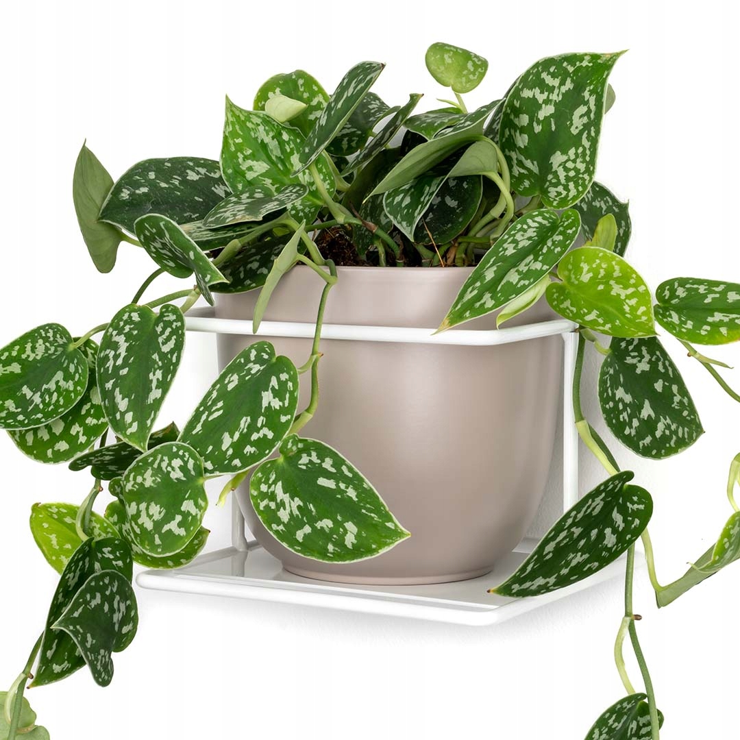 Weißer Wandblumenständer Aus Metall, Blumentopfaufhänger, Moderner Pflanzenhalter