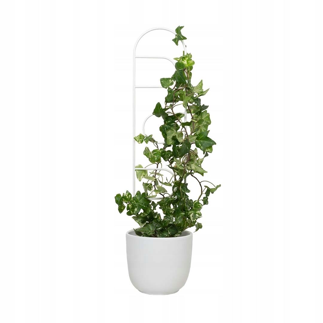 Weiße Metallrankhilfe Für Kletterpflanzen, Portal, 60 Cm Hoch – Skandinavische Leiter Für Blumen Und Töpfe, Moderne Rankhilfe Für Monstera, Hoje