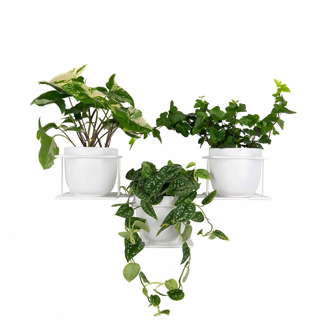 Metallener Pflanzenhänger Für 3 Pflanzen, Wanddekoration Für Pflanzen, Moderner Blumenhalter, Jungle 2 Weiß